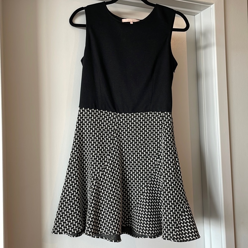 Hutch Black & White Skater Dress